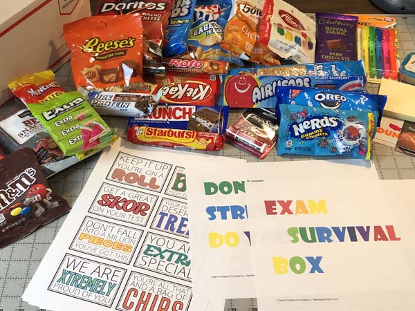 College Exam Care Package | Needlepointers.com