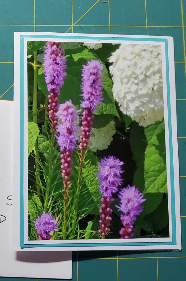 How to Make an Easy DIY Photo Greeting Card | Needlepointers.com