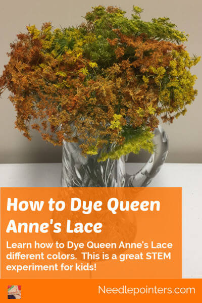 How to Dye Queen Anne's Lace - Pin