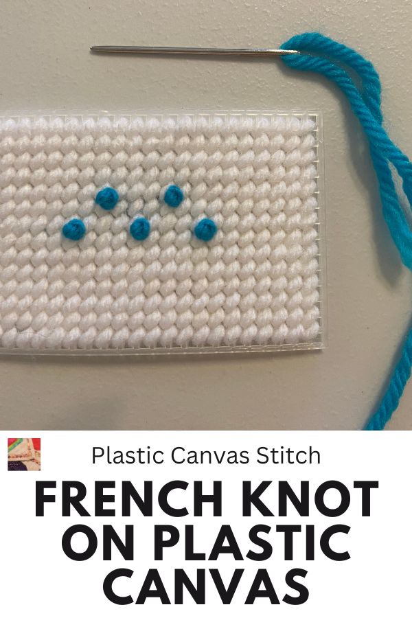 French Knot Plastic Canvas pin