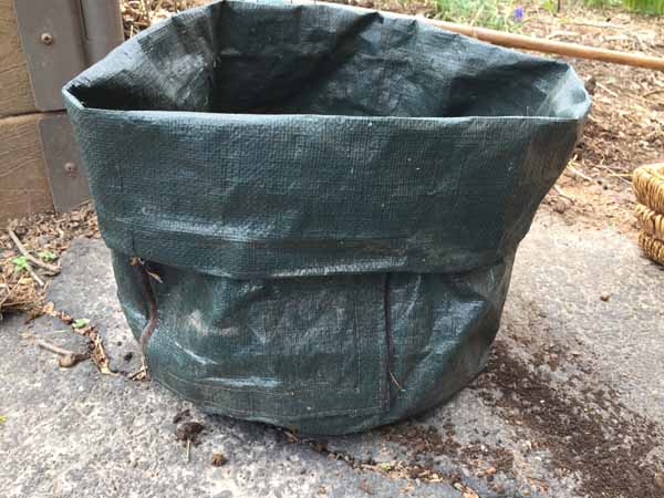 Growing Potatoes in Bags - Bag with top folded down
