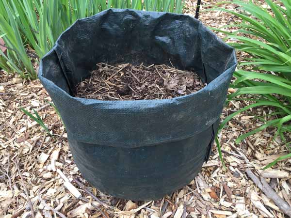 Growing Potatoes Potato Grow Bags Filled Compost Plants Bag Stock