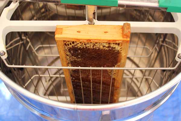 Harvesting Honey - Frame in honey extractor