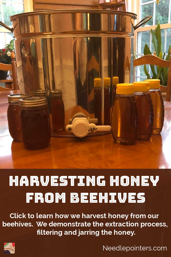 Harvesting Honey from Beehives - pin