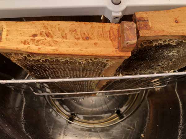 Harvesting Honey - Honey draining in extractor