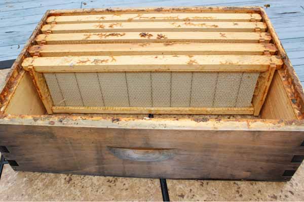 Installing Bee Package - Empty Hive Box