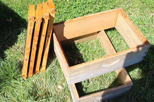 How to Install Package Honey Bees into an Empty Hive | Needlepointers.com