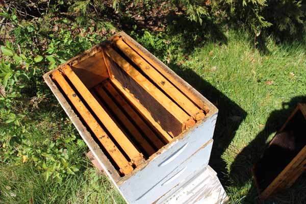 Installing Bee Package - Package Ready to Install