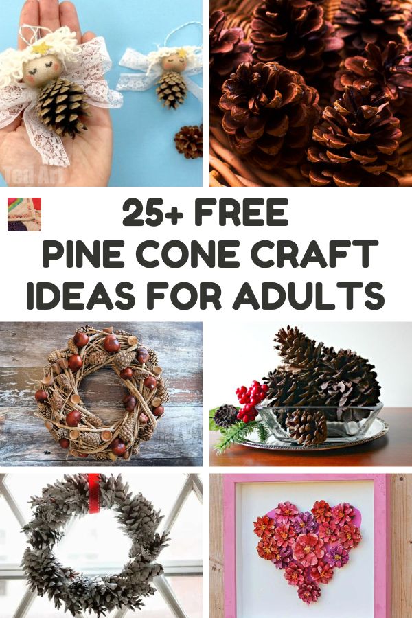 Over 25 DIY Pine Cone Craft Ideas for Adults to Make
