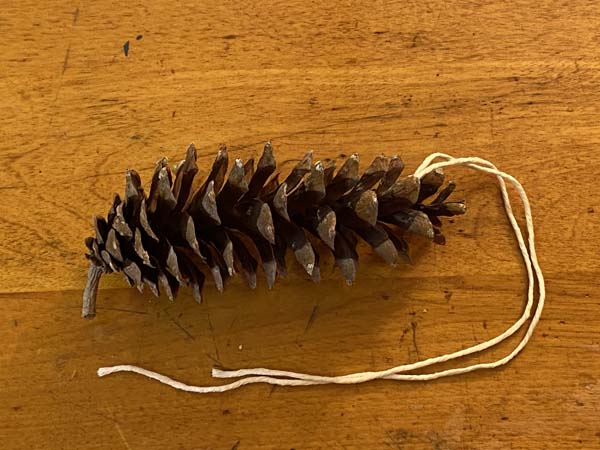 Diy Easy Pine Cone Bird Feeder Craft For Kids 