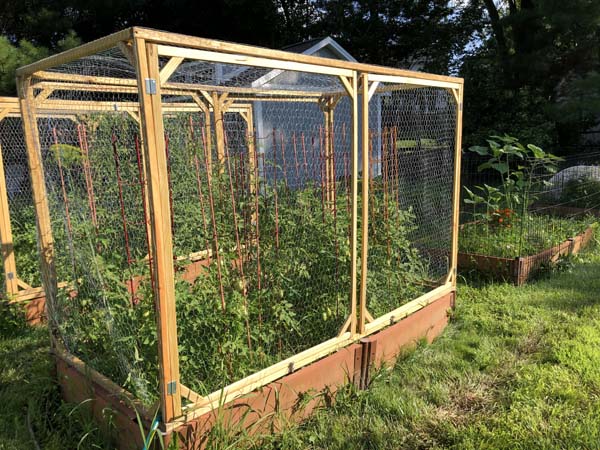 Squirrel Proof Raised Garden Bed Covers for Tomato Plants ...